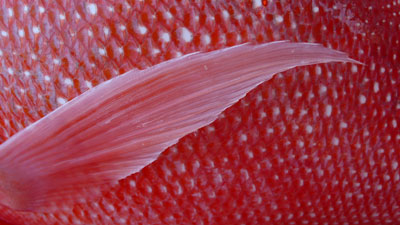 P1010351