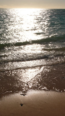 P1010488